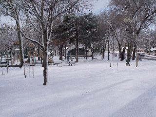 Old Main Street Park in the Winter