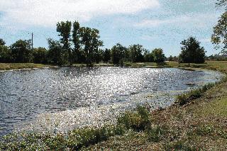 Sports Complex Fishing Pond