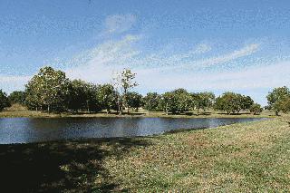 Fishing Pond