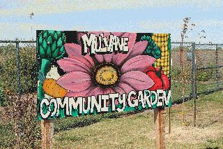 Community Garden