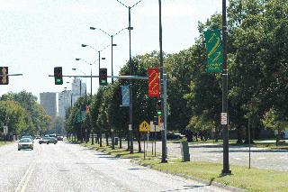 Tree Lined 2nd Street